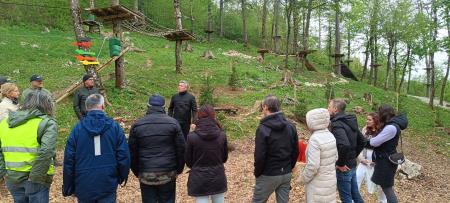 zasaditev smrekic (12)